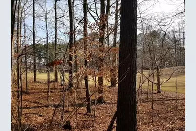 104 Hawks Court, Ball Ground, GA 30107 - Photo 4