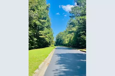 104 Hawks Court, Ball Ground, GA 30107 - Photo 8