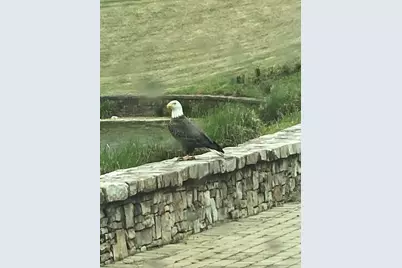 120 Hawks Court, Ball Ground, GA 30107 - Photo 10