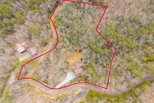 411 Ridge Trail, Blue Ridge, GA 30513 - Photo 54