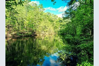 1575 Davis Road W, Fairmount, GA 30139 - Photo 36