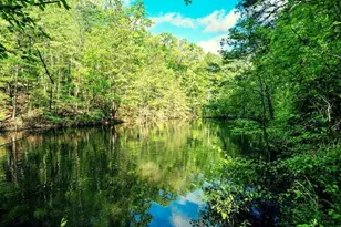 1575 Davis Rd W, Fairmount, GA 30139 - Photo 36