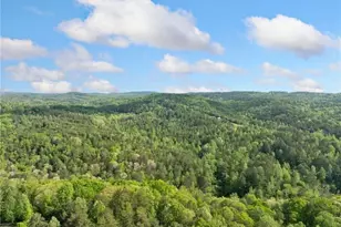 1575 Davis Rd W, Fairmount, GA 30139 - Photo 48