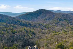 1343 McElroy Mountain Dr, Jasper, GA 30143 - Photo 92