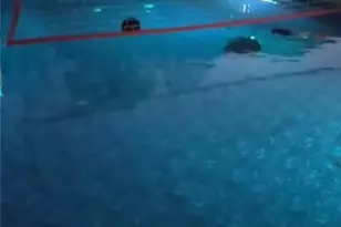 147 Wynnfield Blvd, McDonough, GA 30252 - Photo 38