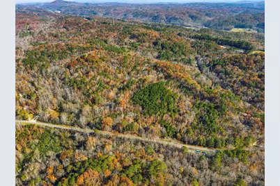 38 Ac Whitestone Road, Talking Rock, GA 30175 - Photo 4