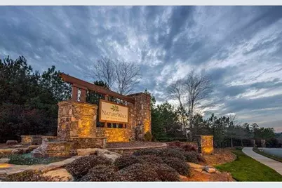 14 Cherry Blossom Walk, Dallas, GA 30132 - Photo 42