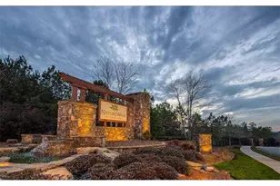 14 Cherry Blossom Walk, Dallas, GA 30132 - Photo 42