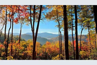 Lot 3 Gold Ridge Trail, Cherrylog, GA 30522 - Photo 4