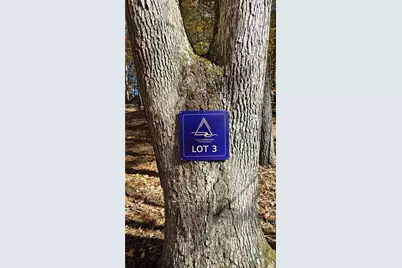 Lot 3 Gold Ridge Trail, Cherrylog, GA 30522 - Photo 2