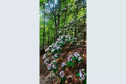 Lot 3 Gold Ridge Trail, Cherrylog, GA 30522 - Photo 6