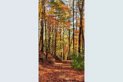 Lot 3 Gold Ridge Trail, Cherrylog, GA 30522 - Photo 8