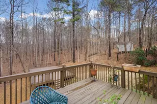 218 Amaranth Ct, Ball Ground, GA 30107 - Photo 34