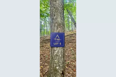 Lot 5 Gold Ridge Trail, Cherrylog, GA 30522 - Photo 2