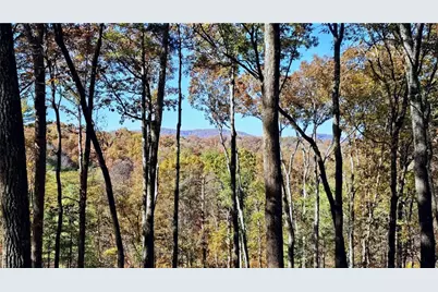 Lot 5 Gold Ridge Trail, Cherrylog, GA 30522 - Photo 4