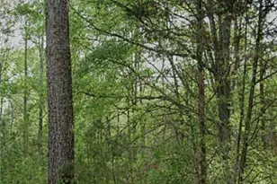 3023 Valley View Dr SW, Powder Springs, GA 30127 - Photo 1