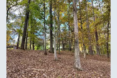 159 May Lane, Zebulon, GA 30295 - Photo 102