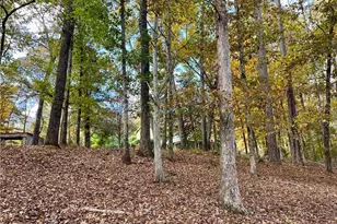 159 May Ln, Zebulon, GA 30295 - Photo 102