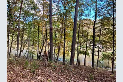 159 May Lane, Zebulon, GA 30295 - Photo 96