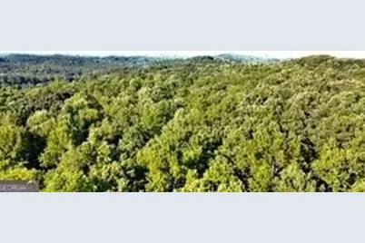 0 Dawsonville Highway, Dawsonville, GA 30534 - Photo 1