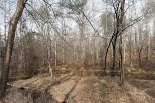 939 Jean Ct, Covington, GA 30014 - Photo 50