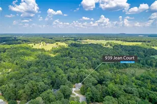 939 Jean Ct, Covington, GA 30014 - Photo 8