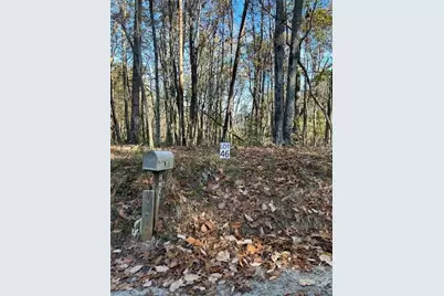 440 Ridge Road, Dawsonville, GA 30534 - Photo 2