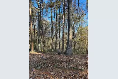 440 Ridge Road, Dawsonville, GA 30534 - Photo 4