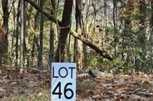 440 Ridge Rd, Dawsonville, GA 30534 - Photo 1