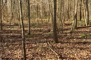 2467 Shady Grove Rd, Carrollton, GA 30116 - Photo 16