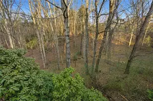 124 Golden Autumn Dr, Dahlonega, GA 30533 - Photo 50