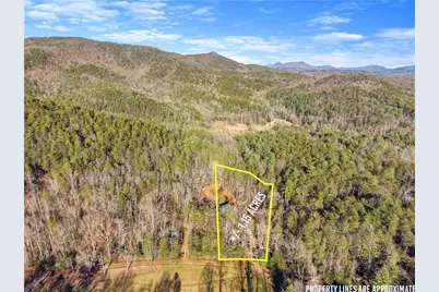 121 Waterfalls Way, Clarkesville, GA 30523 - Photo 54