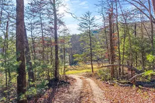 121 Waterfalls Wy, Clarkesville, GA 30523 - Photo 12