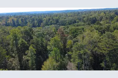 739 Giverney Way, Fairburn, GA 30213 - Photo 8