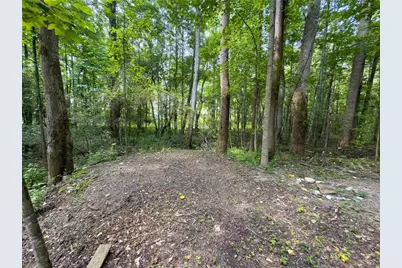 0 Howard Road, Senoia, GA 30276 - Photo 12