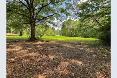 0 Howard Road, Senoia, GA 30276 - Photo 30