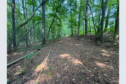 0 Howard Road, Senoia, GA 30276 - Photo 8