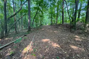 0 Howard Rd, Senoia, GA 30276 - Photo 8