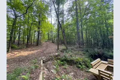 0 Howard Road, Senoia, GA 30276 - Photo 14