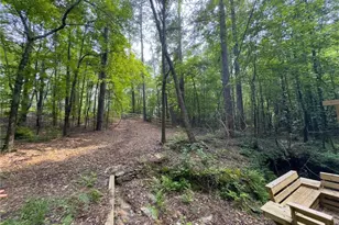 0 Howard Rd, Senoia, GA 30276 - Photo 14