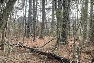 3552 Thompson Mill Rd, Buford, GA 30519 - Photo 28