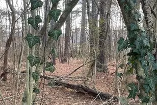 3552 Thompson Mill Rd, Buford, GA 30519 - Photo 26