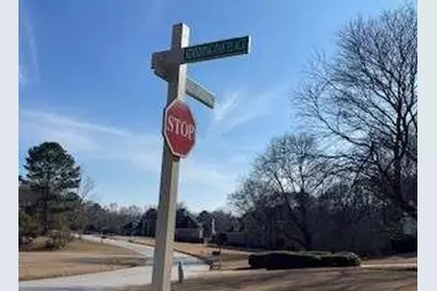 225 Standing Oak Place, Fayetteville, GA 30214 - Photo 8