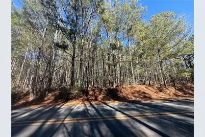 0 Allie Road, Greenville, GA 30222 - Photo 2