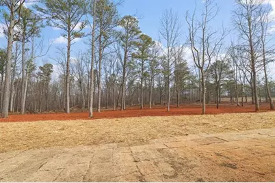 415 Lively Road, Waco, GA 30182 - Photo 46