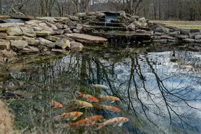 40 SE Riverview Court SE, Cartersville, GA 30120 - Photo 30