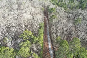 9150 W Banks Mill Rd, Winston, GA 30187 - Photo 26