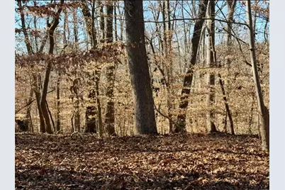 0 Arrowhead Court, Lavonia, GA 30553 - Photo 2