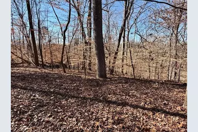 0 Arrowhead Court, Lavonia, GA 30553 - Photo 1