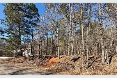 0 Lake Club Drive, Lavonia, GA 30553 - Photo 4